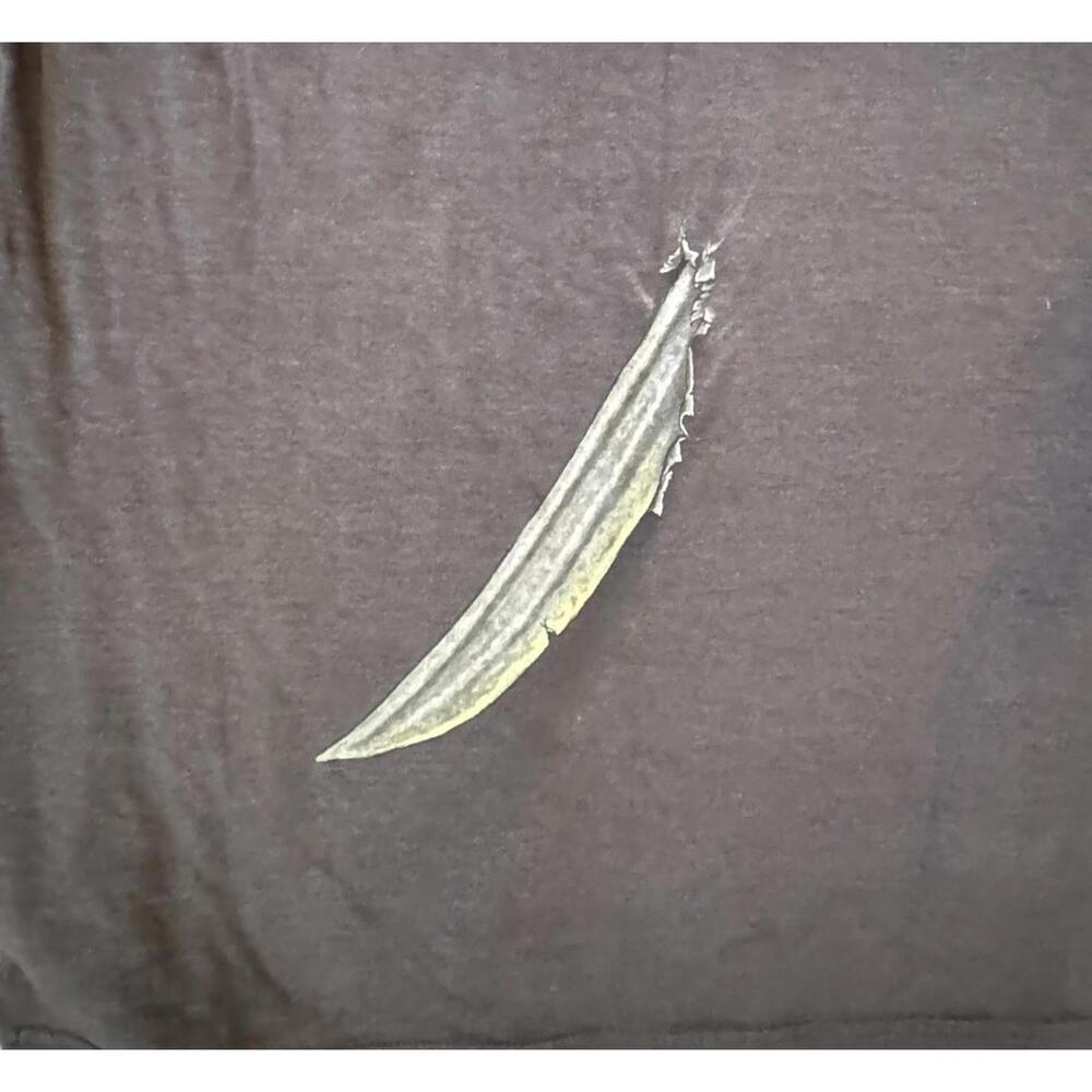Disney Pirates of the Caribbean Shirt Men's Large Pirate Through & Through Tee - Picture 3 of 3